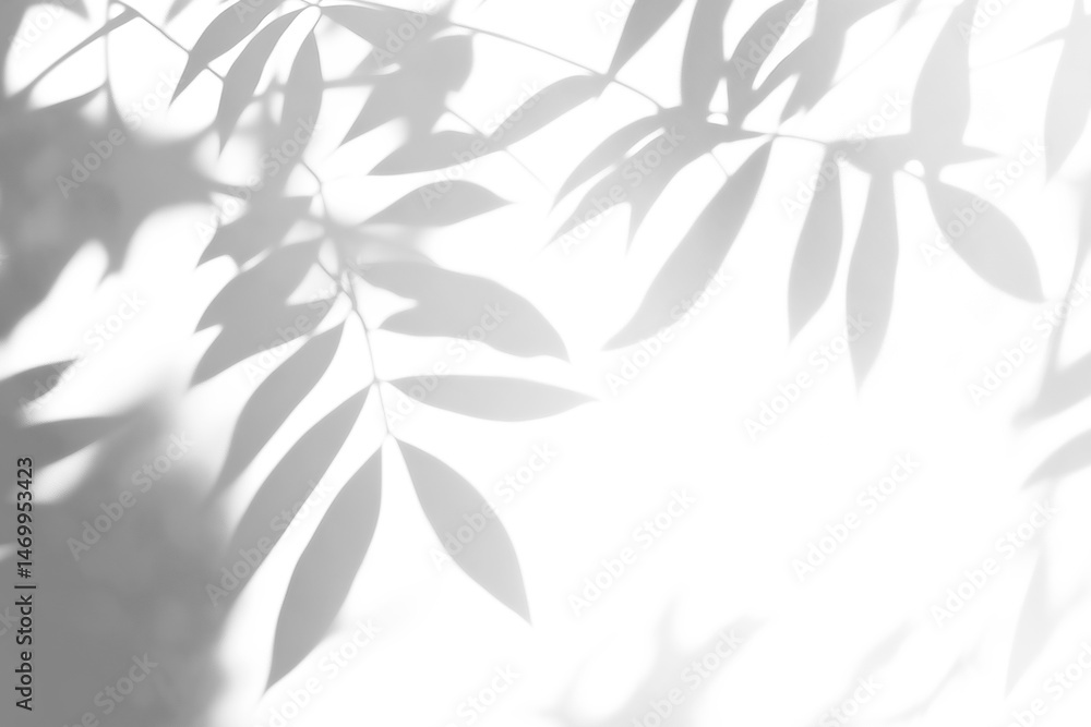 shadow overlay effects of realistic leaves and tree branch shadow on transparent png background,Summer sunlight and shadow overlay effect shadow overlay effects of realistic leaves and tree branch shadow on transparent png background,Summer sunlight and shadow overlay effect