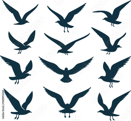Set of seagull silhouette vectors