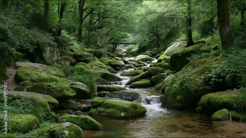 A serene forest stream flows over moss-covered rocks beneath a lush green canopy, with a small wooden bridge in the background.