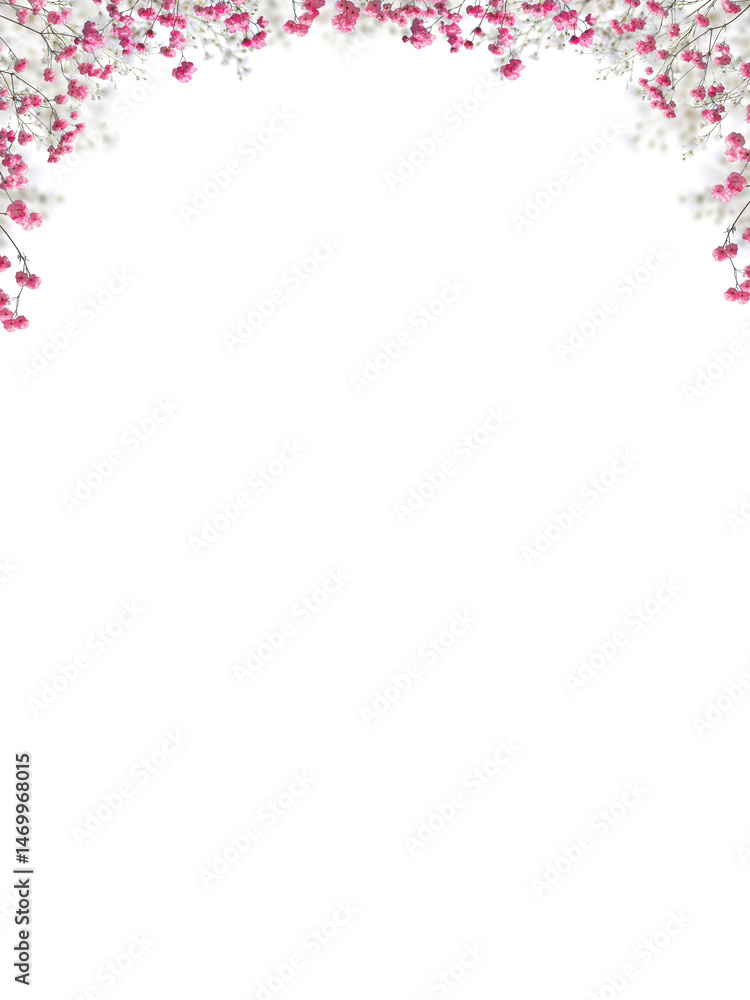 Pink baby's breath flower png. Gypsophila pink white floral design isolated on transparent background Flower frame png. empty space for text. For wedding invitations, floral branding, memorial cards. Pink baby's breath flower png. Gypsophila pink white floral design isolated on transparent background Flower frame png. empty space for text. For wedding invitations, floral branding, memorial cards.