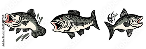 Set of three bass fish illustrations in dynamic poses with open mouths and splashing water in flat minimalist style for fishing or aquatic themes