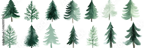 Watercolor green fir trees collection various shapes and shades set of flat minimalist botanical illustrations for winter holiday and nature design elements