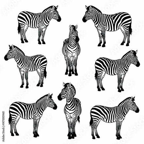 Zebra Variety in Pattern: An array of zebras, each showcasing unique stripe patterns, stands as a striking illustration of biodiversity. The black and white details create a stunning visual narrative.