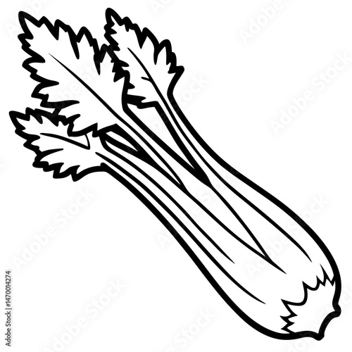 Celery line art vector