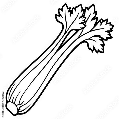 Celery line art vector