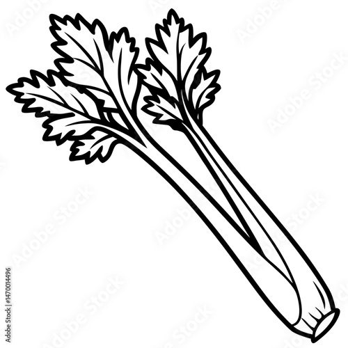 Celery line art vector
