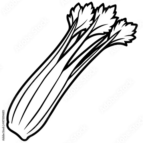 Celery line art vector