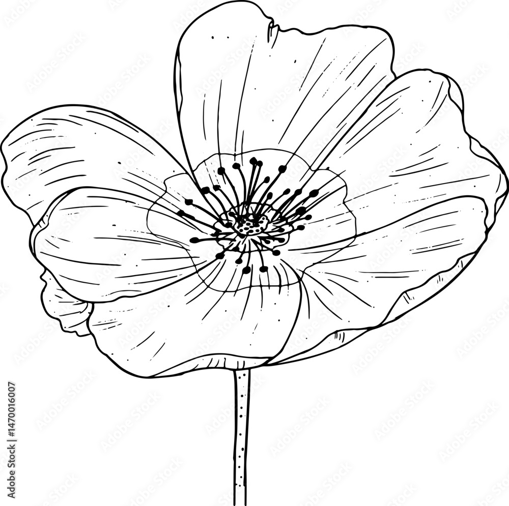 Obraz premium wildrose