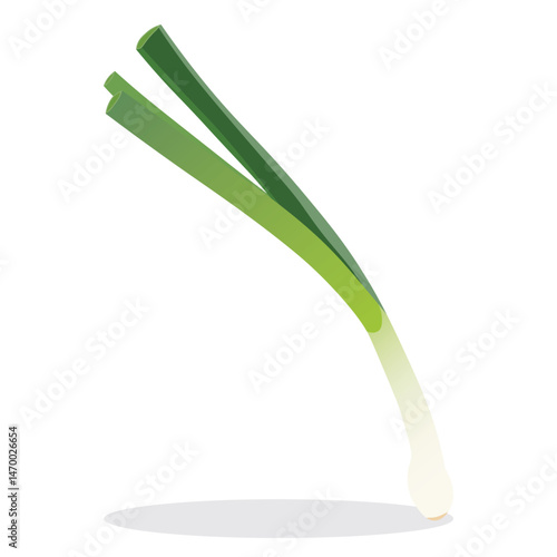 Vector illustration of green onion isolated on white background