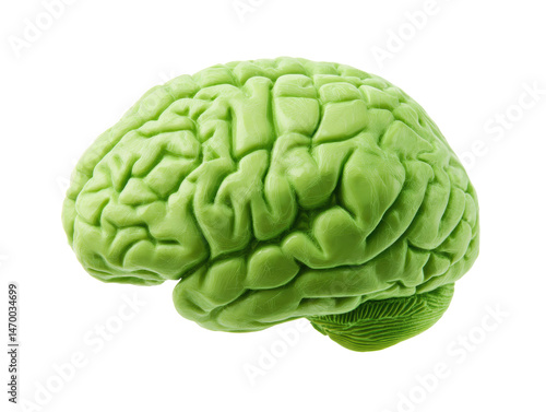 Green brain sculpture for creative design projects