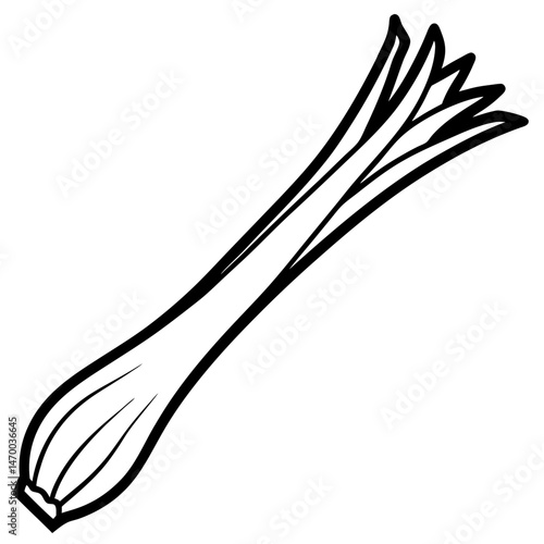 Leek line art vector