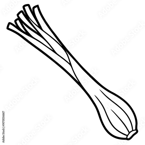 Leek line art vector