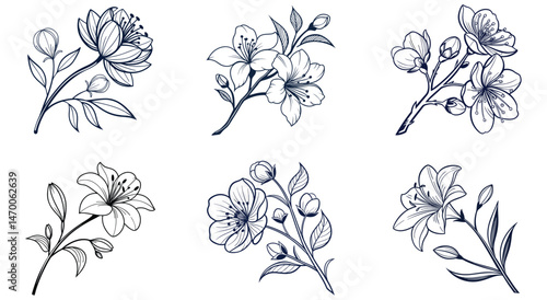 set of black and white flowers white background