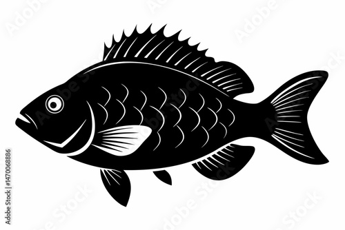 crappie sihouette black vector