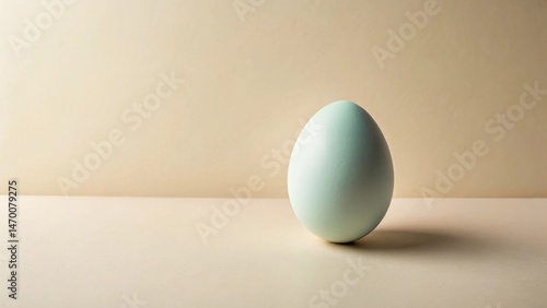 A single pale-green egg rests gently on a neutral backdrop, a minimalist study in form and color