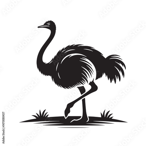 Ostrich Silhouette line art vector illustration on white background