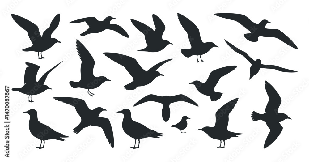 Collection of Various Seagull Silhouettes in Flight and at Rest Collection of Various Seagull Silhouettes in Flight and at Rest