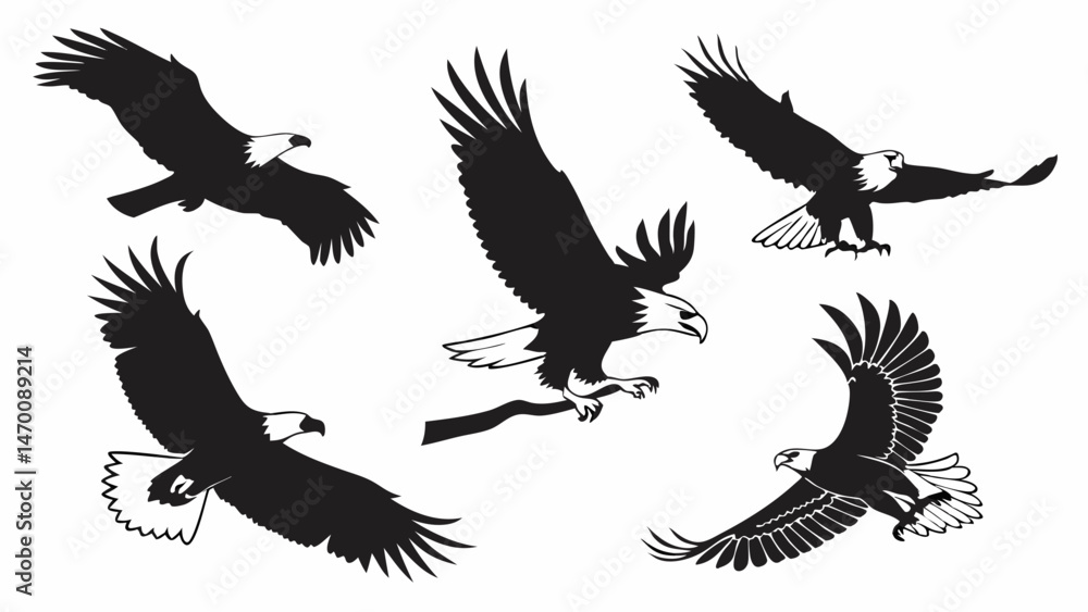 Fototapeta premium Majestic Bald Eagles in Flight Powerful Black and White Silhouettes of Soaring Birds Wings Spread Wide Sharp Details