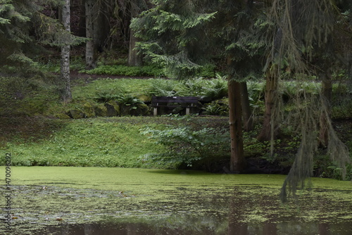 light in the tunnel, tunnel, light, city, road, travel, architecture, arch, bridge, corridor, night, building, interior, street, subway, dark, perspective, underground, stone, column, traffic, long