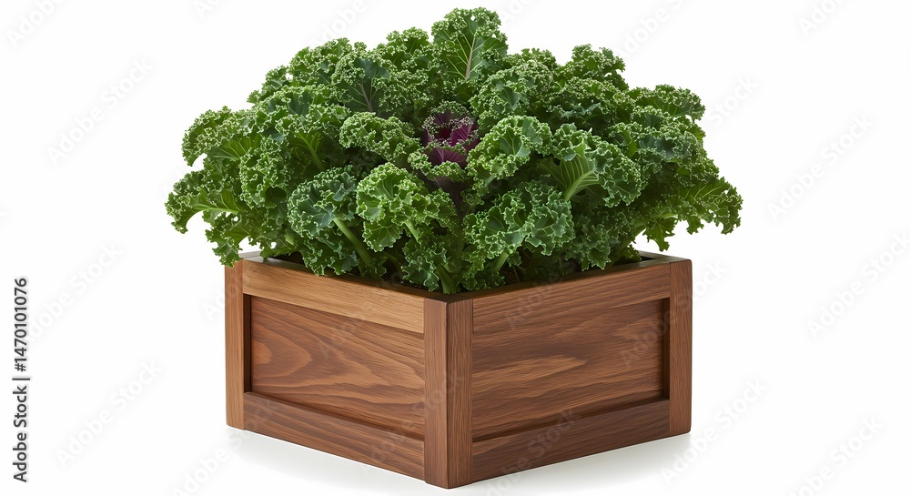 Fototapeta premium Fresh Green Mint Leaves - Perfect for Culinary and Medicinal Uses
