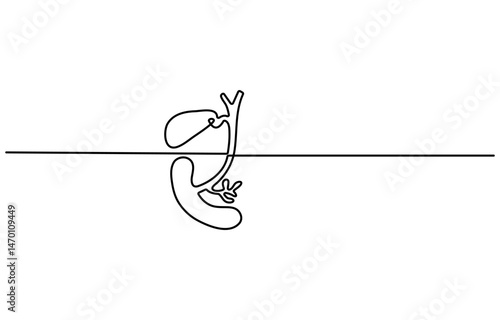 Gallbladders digestive inner organ symbol. Black color on white background with alpha channel. Simple reveal and disappear animation.