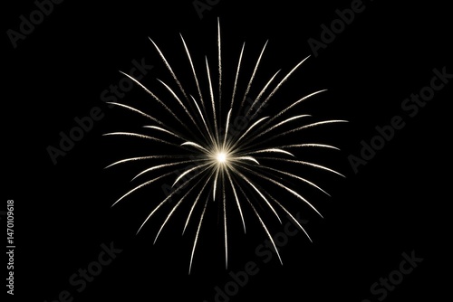 Wallpaper Mural Single white firework burst on black night sky background, minimalist festive explosion symbolizing celebration, freedom, and New Year or Independence Day event visuals in clean style.

 Torontodigital.ca