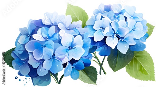 Professional Lush Blue Hydrangea Flower Macro Photography for Creative Projects