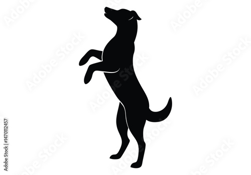Dog Standing On Hind Legs Begging Silhouette