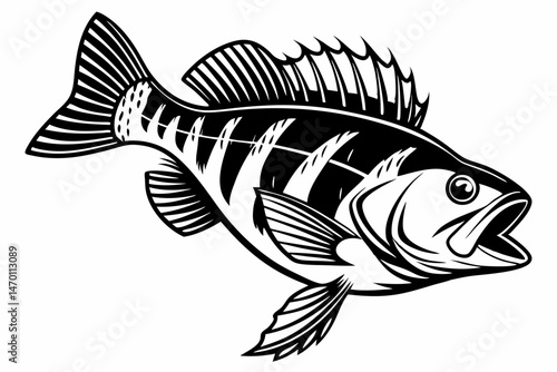 perch sihouette black vector