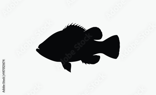 crappie fish silhouette, rounded fish body, spiny fin detail, fan tail outline, black white crappie, freshwater fish vector, side view fish