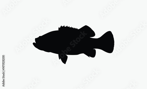 bass fish silhouette, big fish outline, bold fish profile, freshwater fish vector, black white bass, spiny fin shape, side view bass