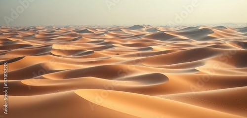 Fototapeta Naklejka Na Ścianę i Meble -  Vast, undulating sand dunes in Abu Dhabi's desert landscape, dunes, UAE