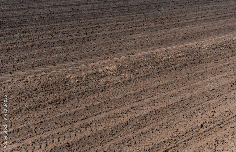 A close-up of a plowed empty field in early spring A close-up of a plowed empty field in early spring