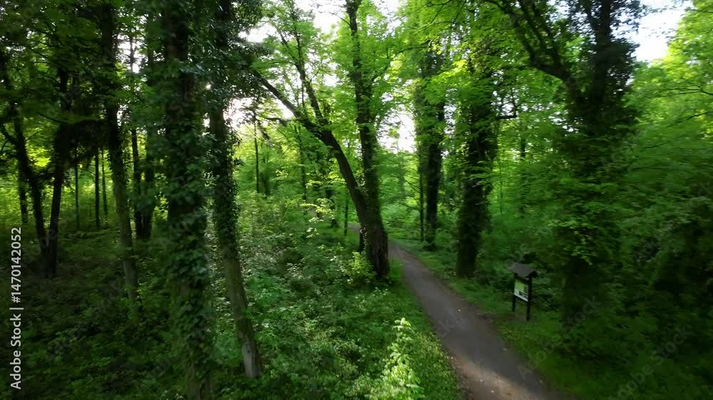 magic park drone fpv shot magic park drone fpv shot