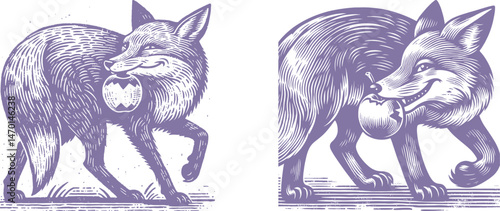 Engraving Design Smirking Purple Fox Holding a Bite-Taken Apple in Its Mouth, Embodying Mischief and Charm