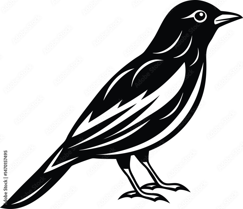 bird on a branch bird on a branch