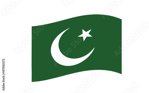 vector illustration, country flag, Pakistan flag
