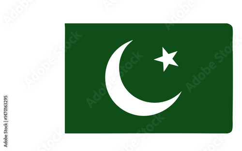 vector illustration, country flag, Pakistan flag