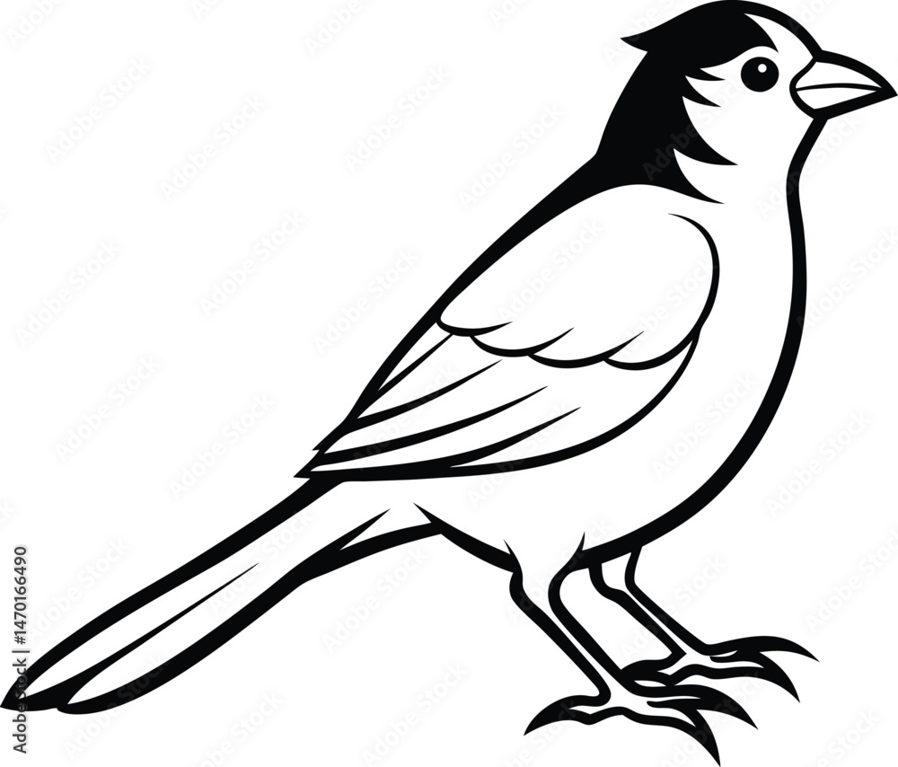 Obraz premium vector illustration of a bird