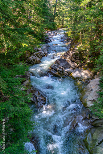 Denny Creek Landscape 2