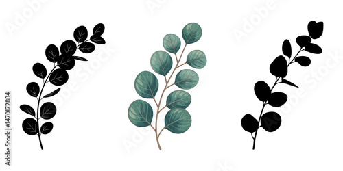 Eucalyptus Branch silhouette set, black branch with herb and plant leaves silhouettes, Black branch with herb and plant leaves silhouettes. Branch with leaves .Vector illustration of silhouette. 