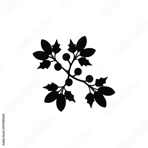 mistletoe vector silhouette