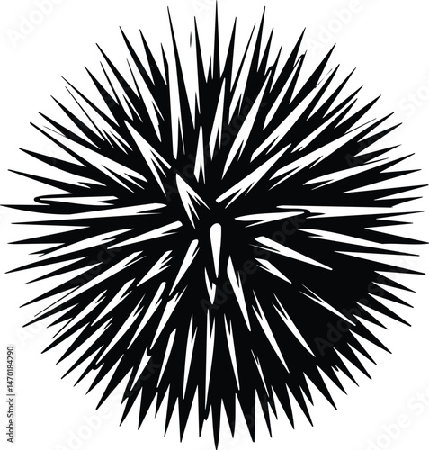 Sea Urchin Silhouette