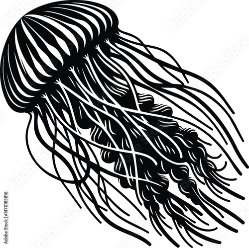 Trailing Arm Jellyfish Silhouette