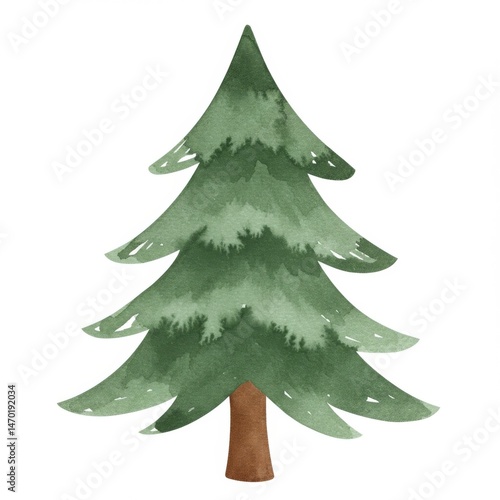 Watercolor Green Christmas Tree Illustration