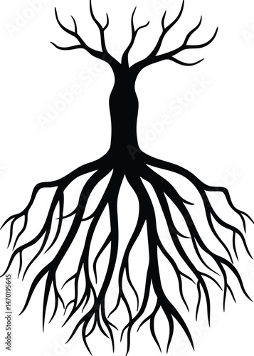Tree Root Illustration on White Background