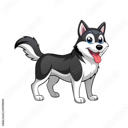 border collie dog