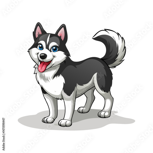 black and white dog