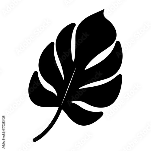 Silhouette of a Monstera Leaf Representing Tropical and Exotic Nature