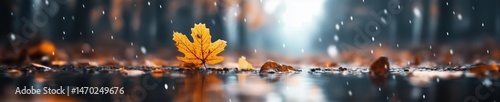 Obraz na płótnie Autumn leaf resting on a wet surface amidst gentle rain under soft light in a serene forest setting w salonie